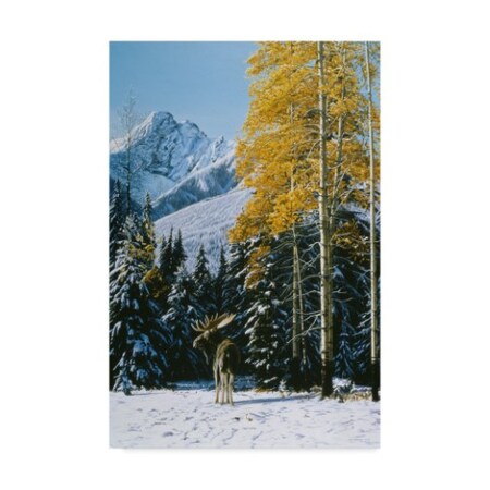 Trademark Fine Art Ron Parker 'Trembling Aspen' Canvas Art, 16x24 ALI32425-C1624GG